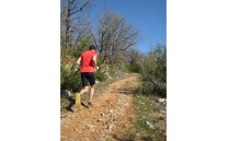 Značkovací barva TEMPO MARKER