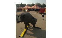 Kabelový most s víkem