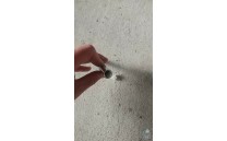 Náhradní šroub pro směrový sloupek Z11h 